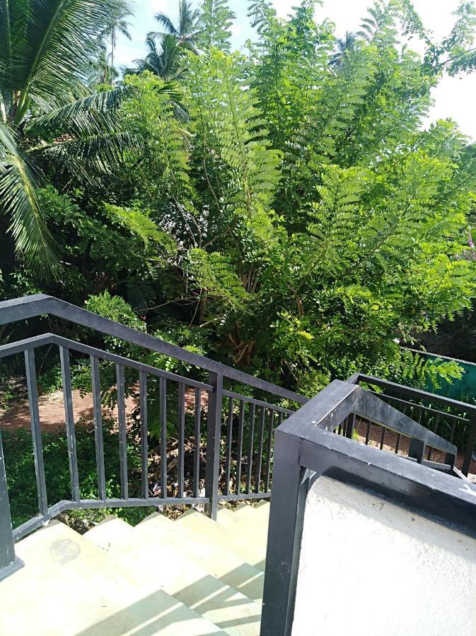 Dolphin Cottage Mirissa Esterno foto